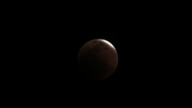 img_3494_thumb.jpg