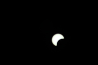 img_9637_thumb.jpg
