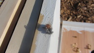 argent20120425_5_thumb.jpg