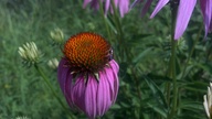 20120602_102047_thumb.jpg