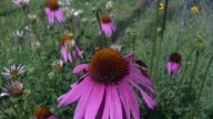 20120602_102121_thumb.jpg