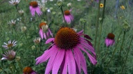 20120602_102129_thumb.jpg