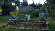 2012-07-05_19-32-48_306_thumb.jpg