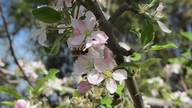img_3610_thumb.jpg