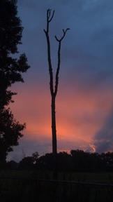 dawn3_thumb.jpg