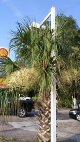 20150622_080406_thumb.jpg