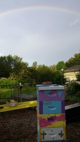 20150630_073253_thumb.jpg