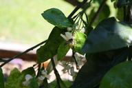 img_4566_thumb.jpg