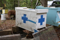 blue_cross_thumb.jpg