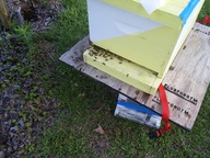 20160524_192201_thumb.jpg