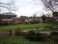 dsc01578_thumb.jpg