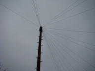 dsc01406_thumb.jpg