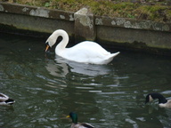 dsc01458_thumb.jpg