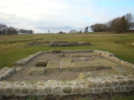 dsc01240_thumb.jpg