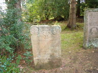dsc01253_thumb.jpg