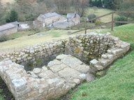 dsc01271_thumb.jpg