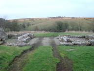 dsc01274_thumb.jpg