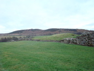 dsc01279_thumb.jpg