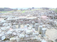 dsc01281_thumb.jpg