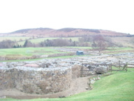 dsc01285_thumb.jpg