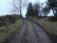 dsc01291_thumb.jpg