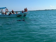 pxl_20241126_144009108_thumb.jpg