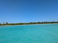 pxl_20241126_155315707_thumb.jpg