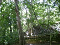 dscn1090_thumb.jpg
