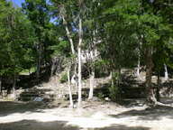 dscn1135_thumb.jpg
