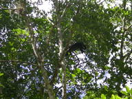 dscn1138_thumb.jpg