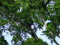 dscn1140_thumb.jpg