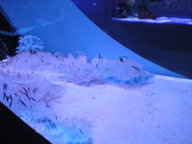 dscn1178_thumb.jpg