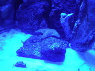 dscn1179_thumb.jpg