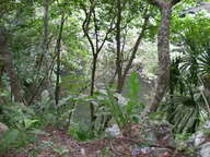 dscn0878_thumb.jpg