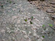 dscn0879_thumb.jpg
