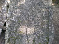 dscn0975_thumb.jpg