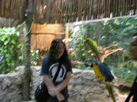 dscn1151_thumb.jpg