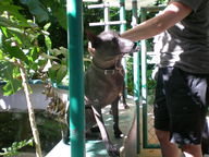 dscn1167_thumb.jpg