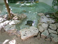 dscn1169_thumb.jpg