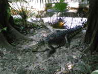 dscn1174_thumb.jpg