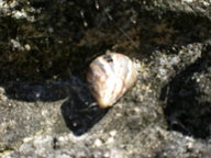 dscn1052_thumb.jpg