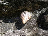 dscn1053_thumb.jpg