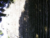 dscn1072_thumb.jpg