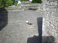 dscn1024_thumb.jpg