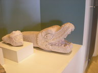 dscn1189_thumb.jpg