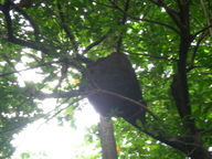 dscn1208_thumb.jpg