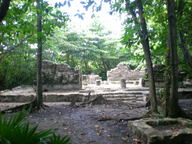 dscn1212_thumb.jpg