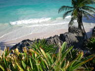 dscn0995_thumb.jpg
