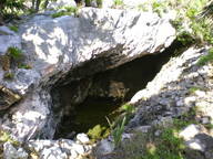 dscn1006_thumb.jpg