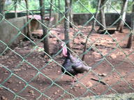 dscn0803_thumb.jpg